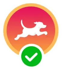 fetch dog